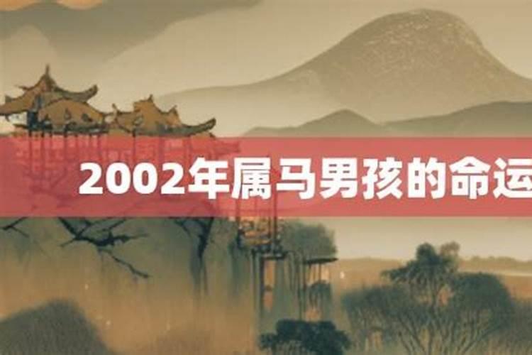 2002年属马男孩的命运今年高考