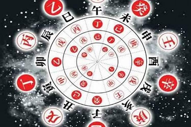 婚姻宫看天干还是地支