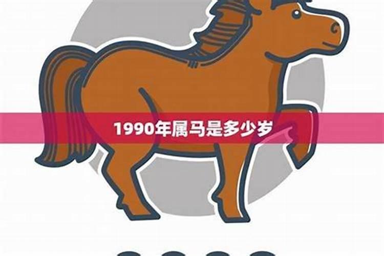 90年属马人是属什么命