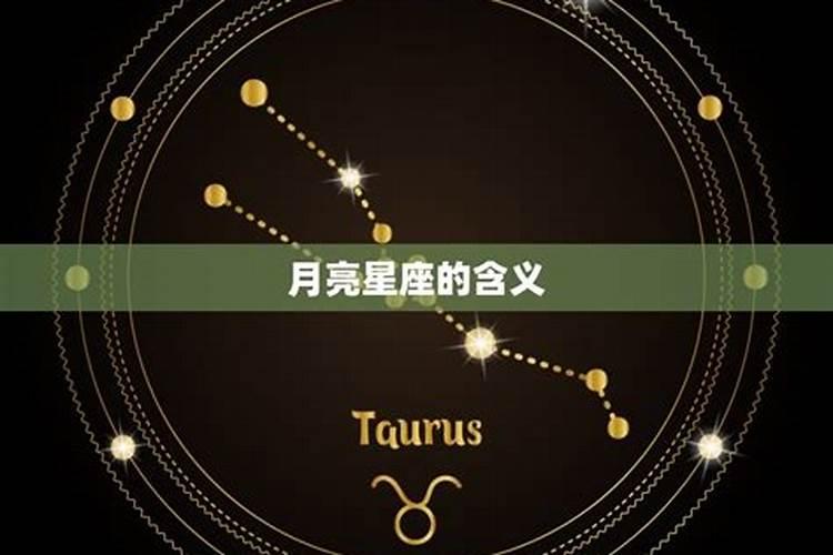 月亮星座说明什么