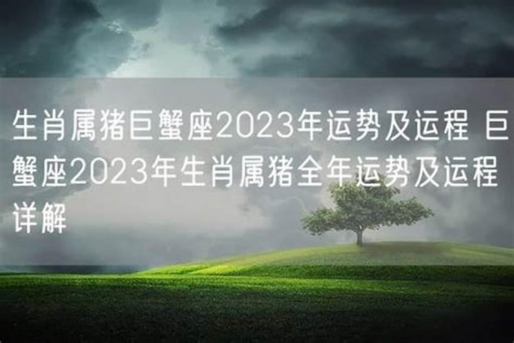 属猪巨蟹座2023年运势及运程