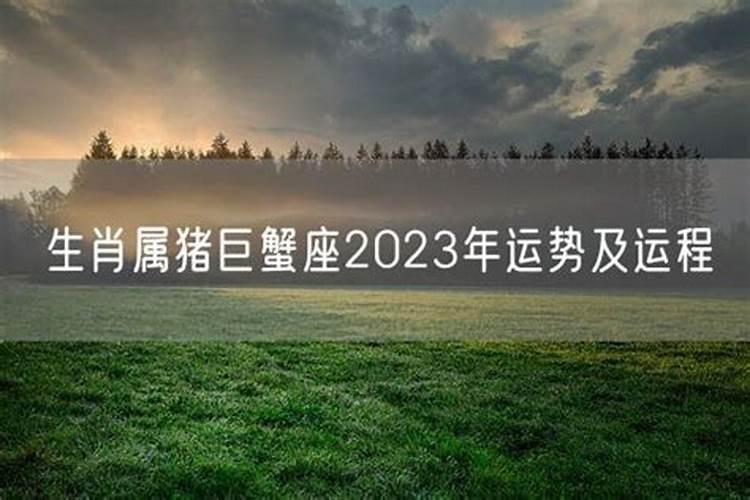 属猪巨蟹座2023年运势及运程如何