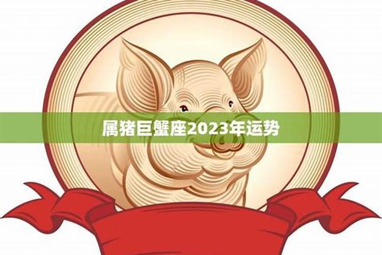 属猪巨蟹2021年运势