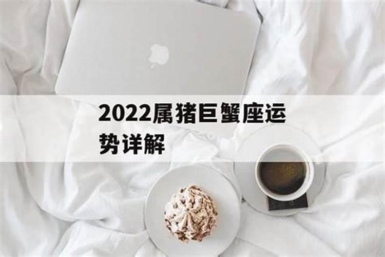 属猪巨蟹2021年运势