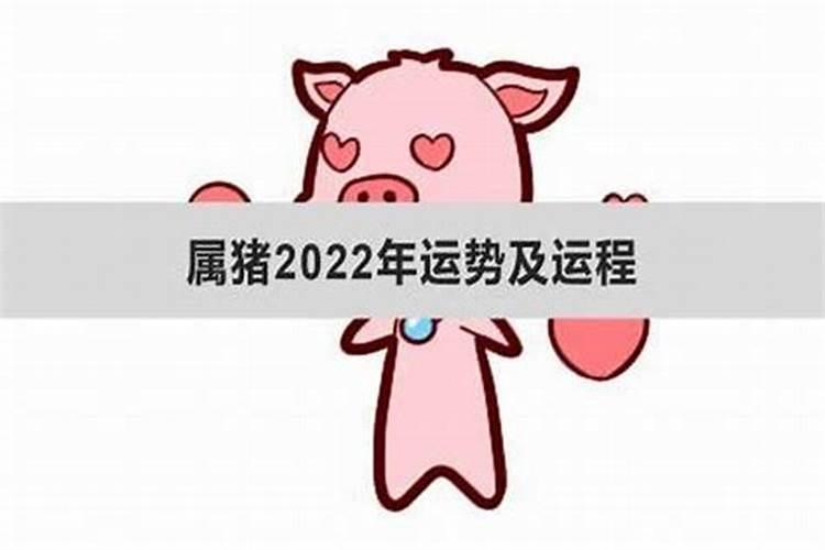 属猪巨蟹座2021年每月运势详解