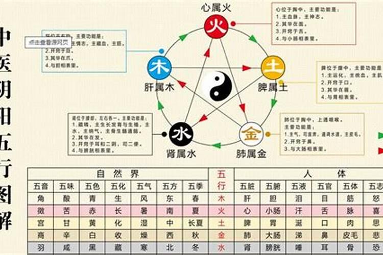 五行学说的特点