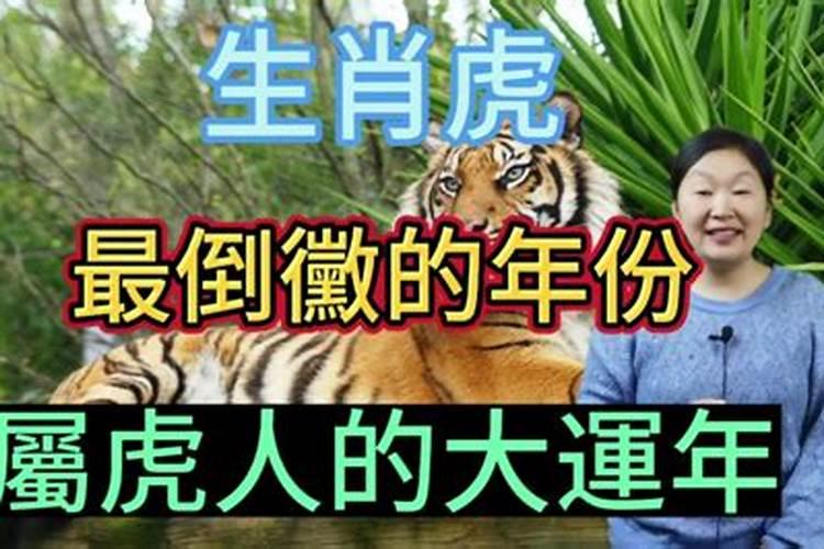 属虎人最倒霉的年份