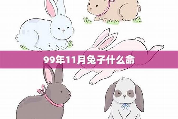 10月属狗2023年运势