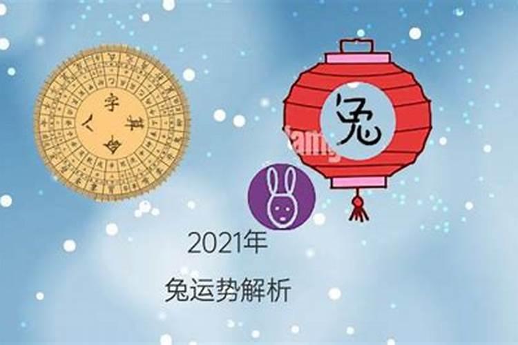 99年的兔子[year]年运势