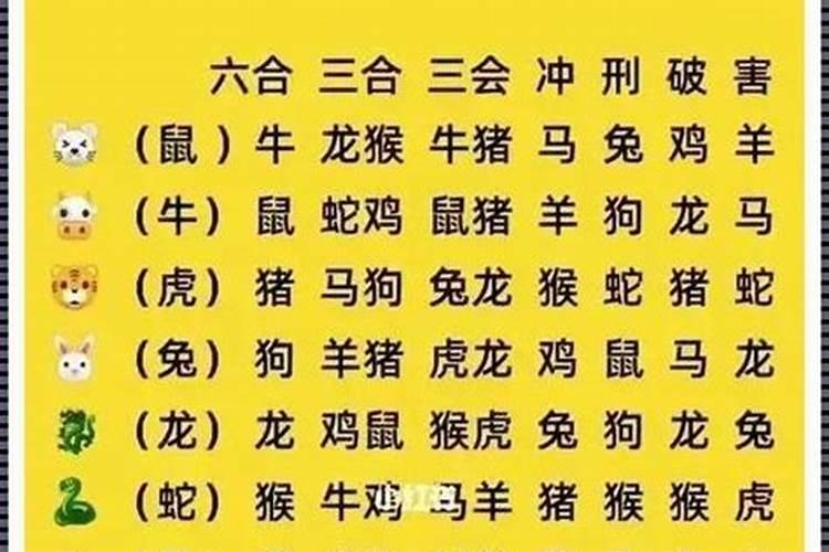 蝉代表什么生肖什么数字