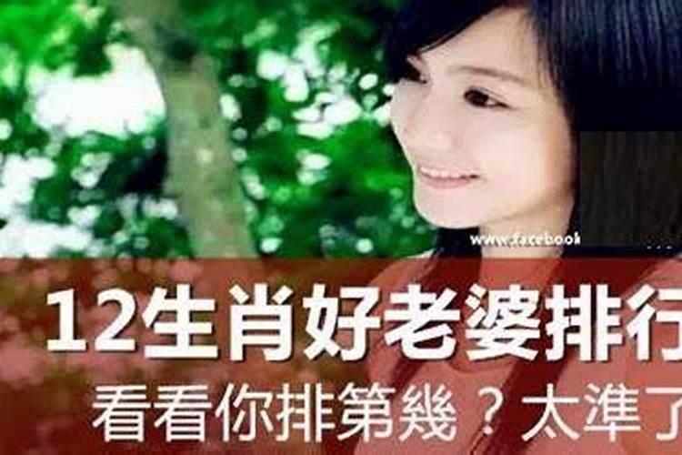 十二生肖好老婆排行榜，你排名第几