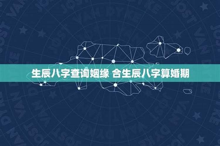 属兔狗的2024年运势如何