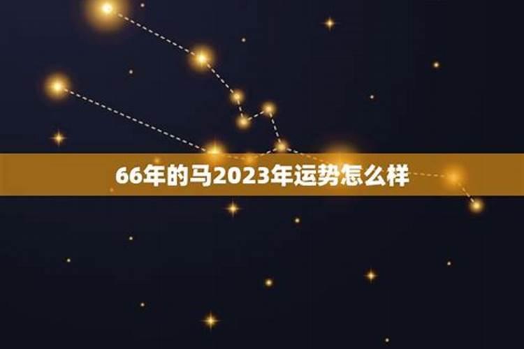 2023马的运势