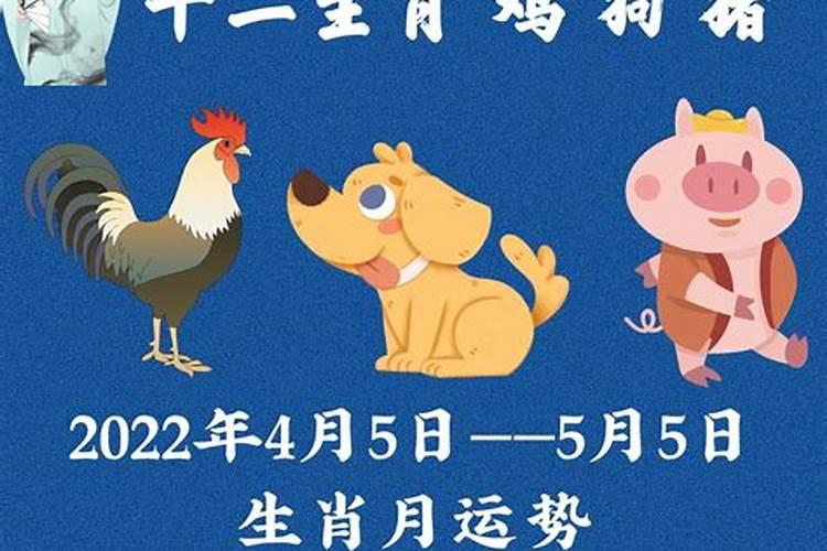 猪12月运势2021