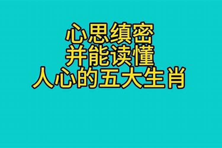 心思缜密,精打细算的生肖是什么