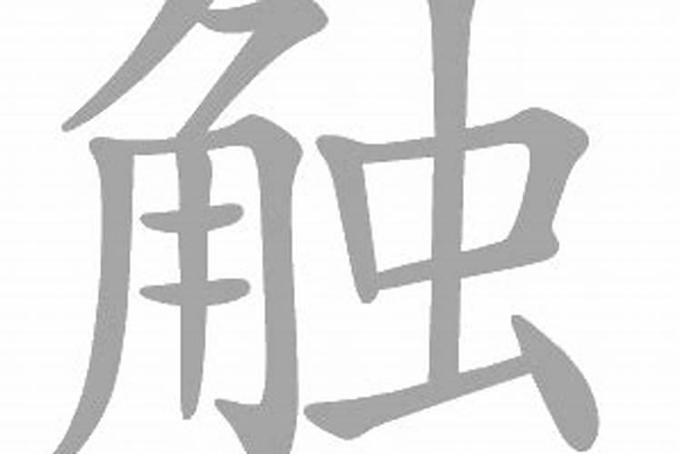 触字是什么生肖