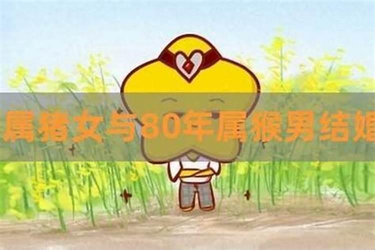 83年属猪男和80年属猴女的合不合