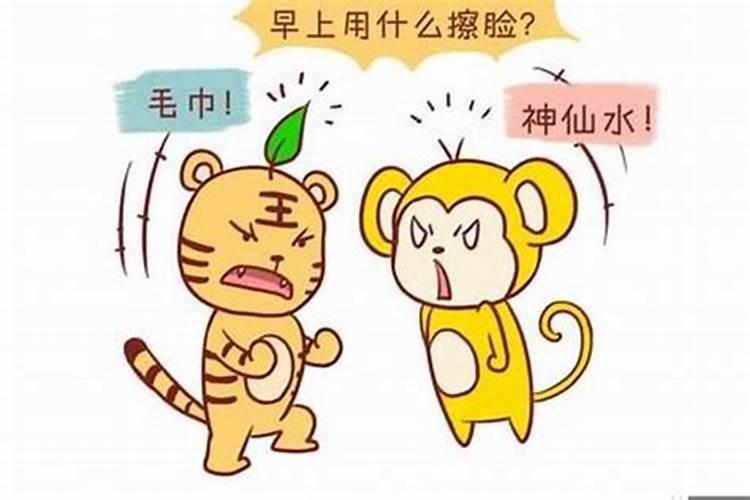 属虎男和属猪女八字不合