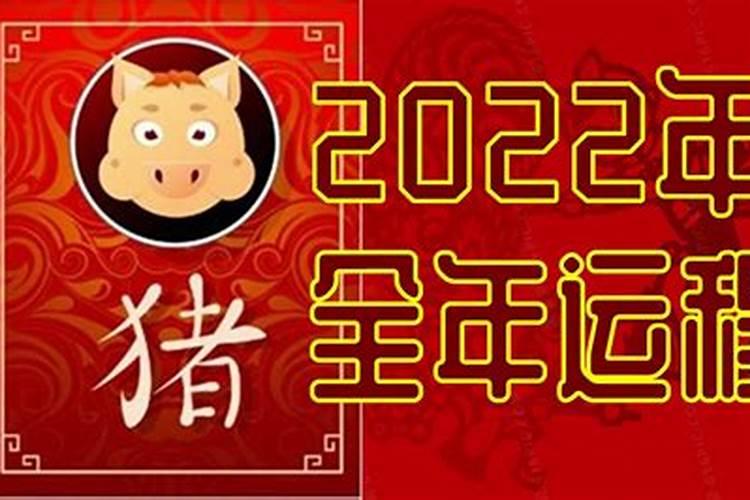 属猪的今年会工作会有变动吗