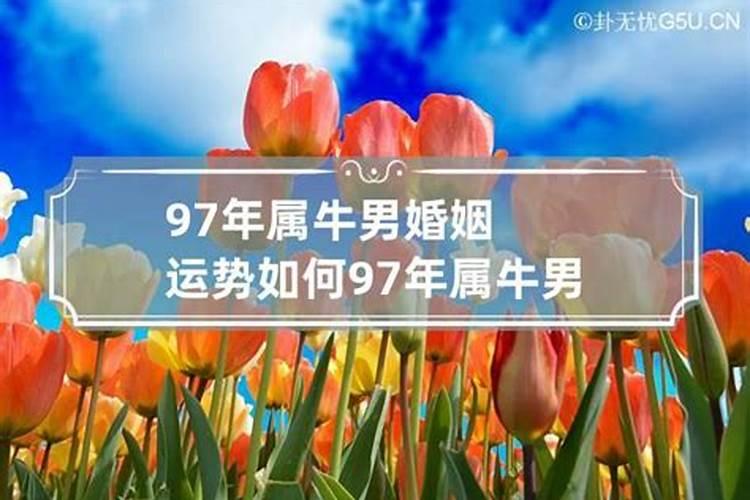 97年属牛男一生婚姻运势