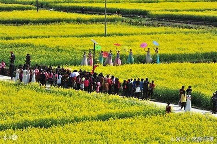 男属马女属蛇合不合婚姻呢