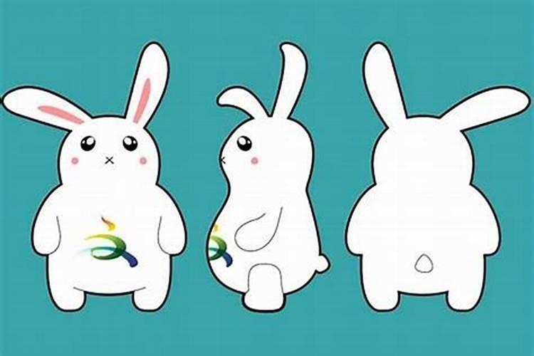 属兔的风水吉祥物是什么