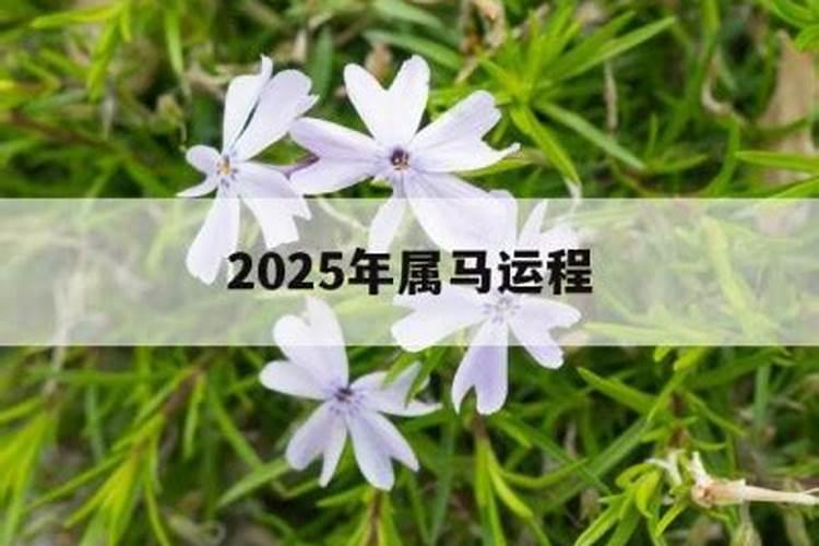 属马2021年装修