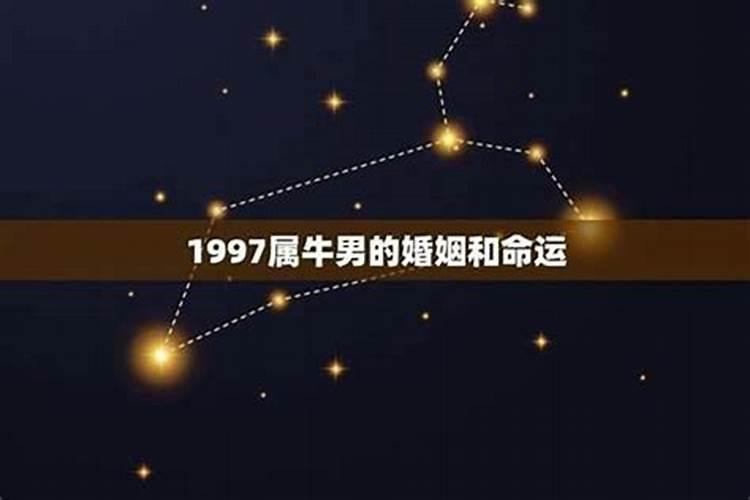 97年的牛什么时候能有婚姻