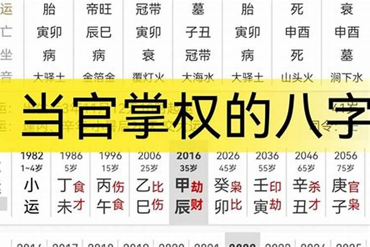 什么八字与当官的人合财