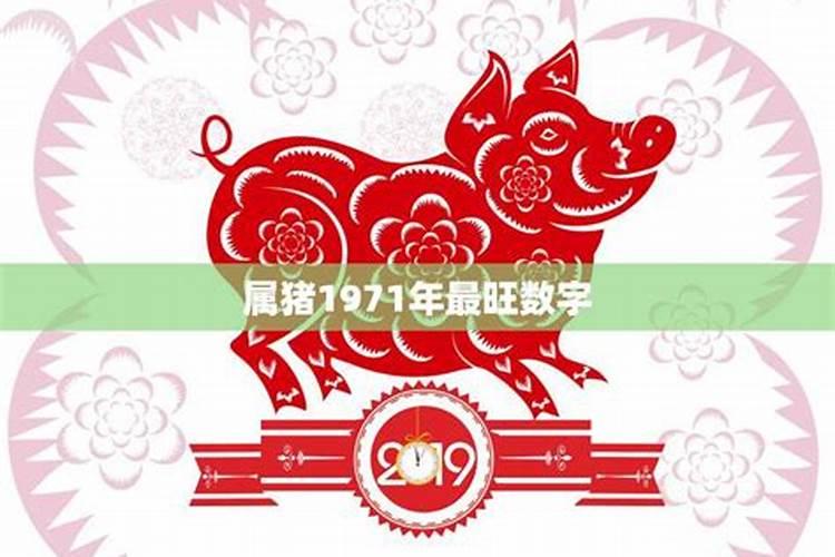 1971年属猪的2012吉祥数字