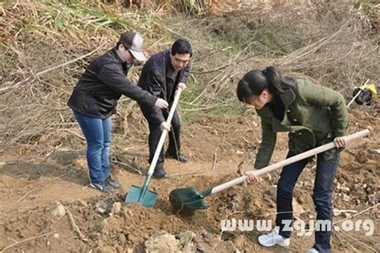 梦见铲土预示着什么