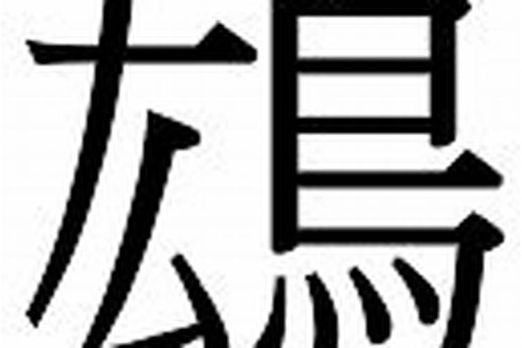 右字五行属什么