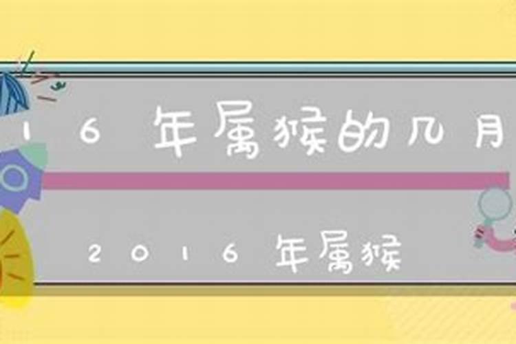 2016年属猴阳历几月出生好