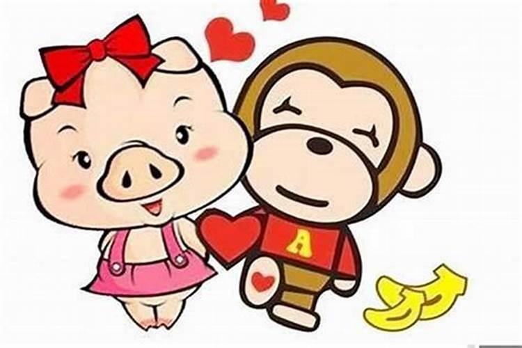 猪与猴属相婚配怎样