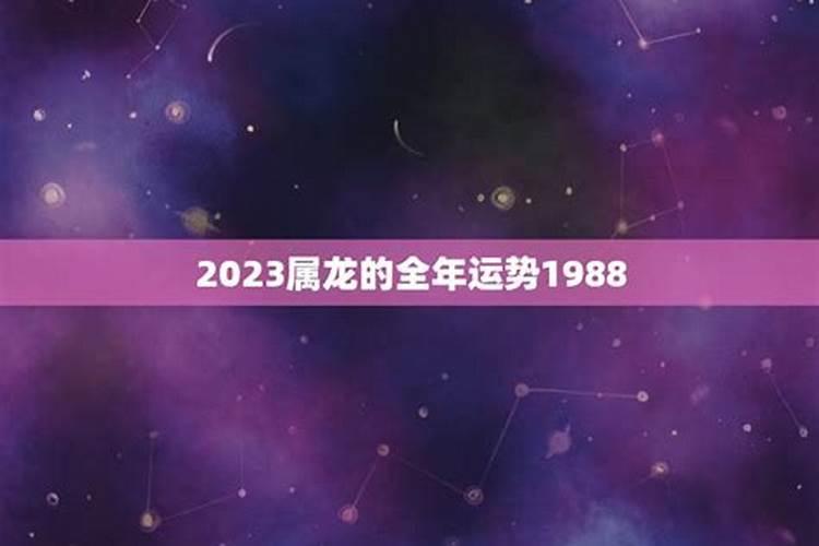 属龙人2023年全年运势及运程88年