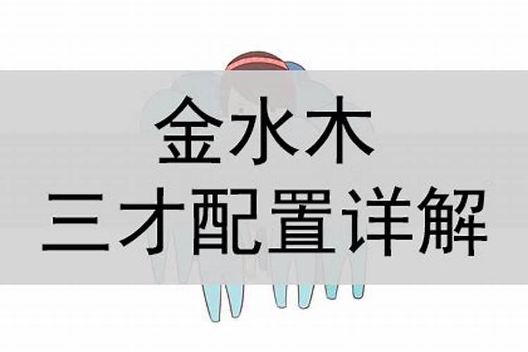 金水木代表什么生肖和动物生肖