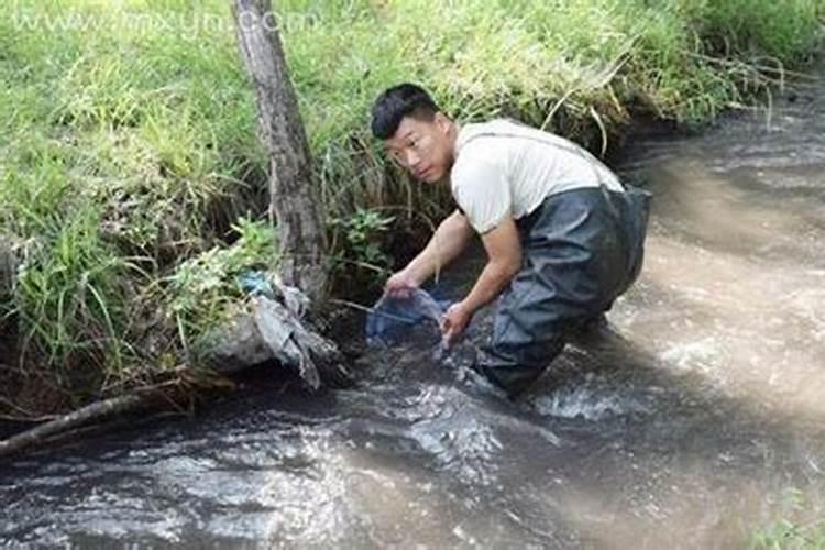 梦到在鱼塘里抓到了鱼是什么意思