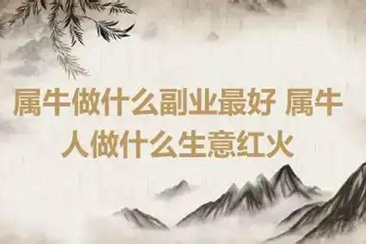 属牛人的财运方位在什么方向