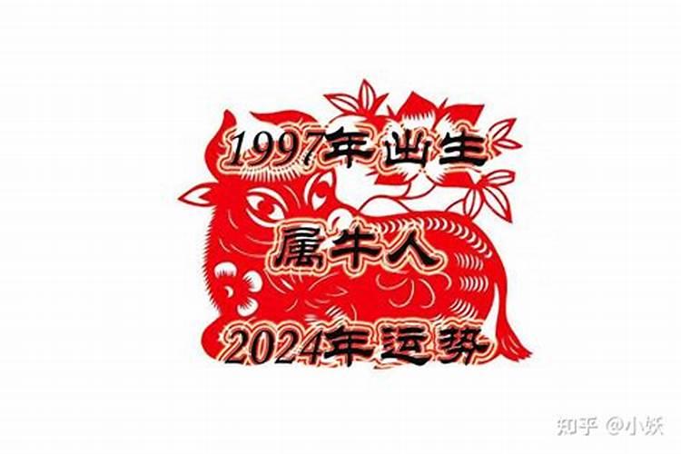 农历11月份属牛