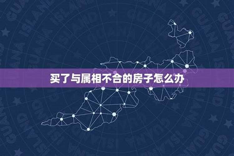 买了和属相不合的楼层怎么化解