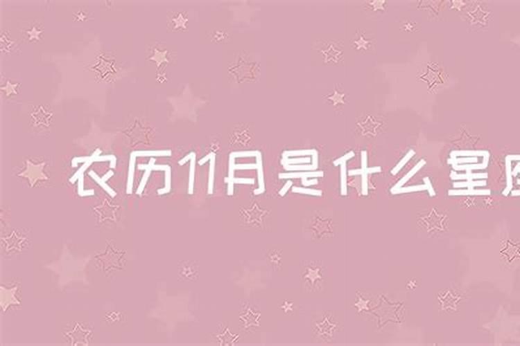 11月什么星座是什么女