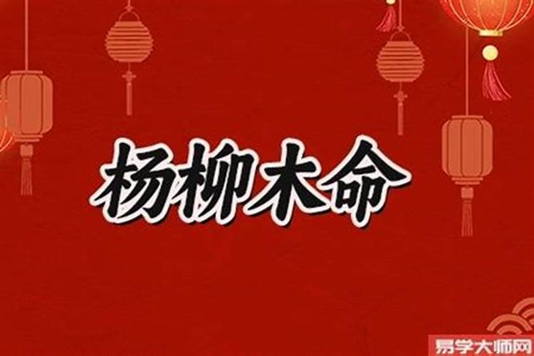 杨柳木命今年运势