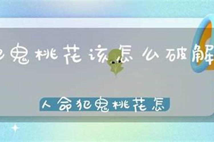 属蛇12月份运程怎么样