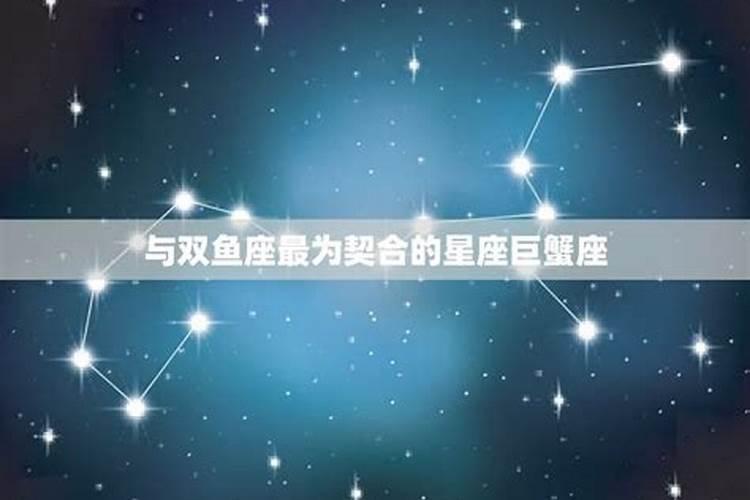 双鱼契合的星座