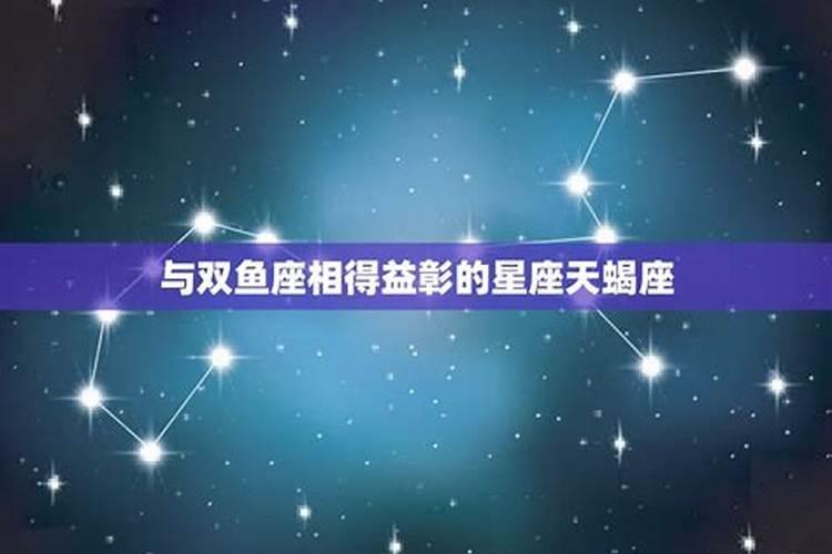 双鱼工作互补星座