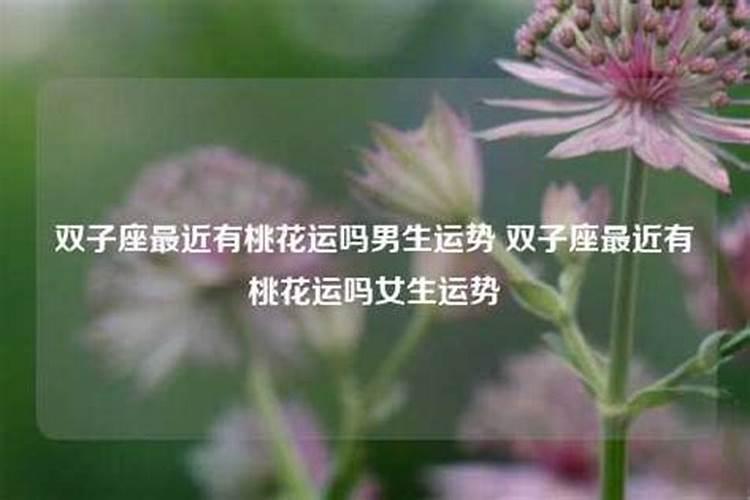 双子座的桃花运在什么方位最旺