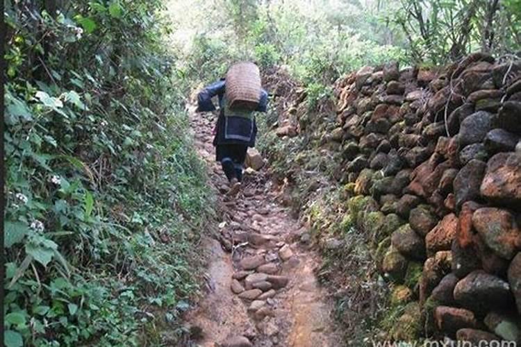 梦见山路垮塌路难走周公解梦