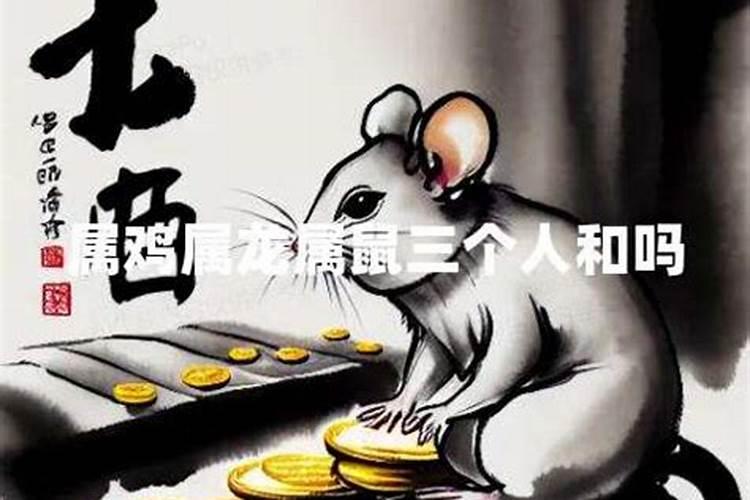 家里三个人属鼠的寓意是什么