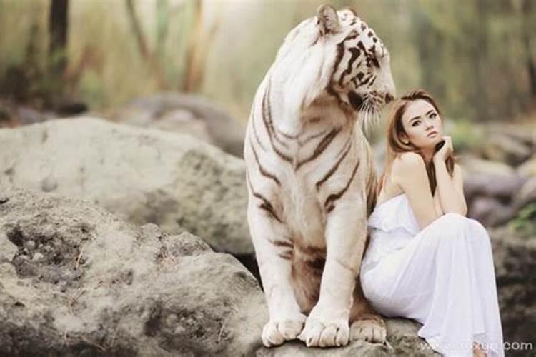 女人梦见老虎是什么