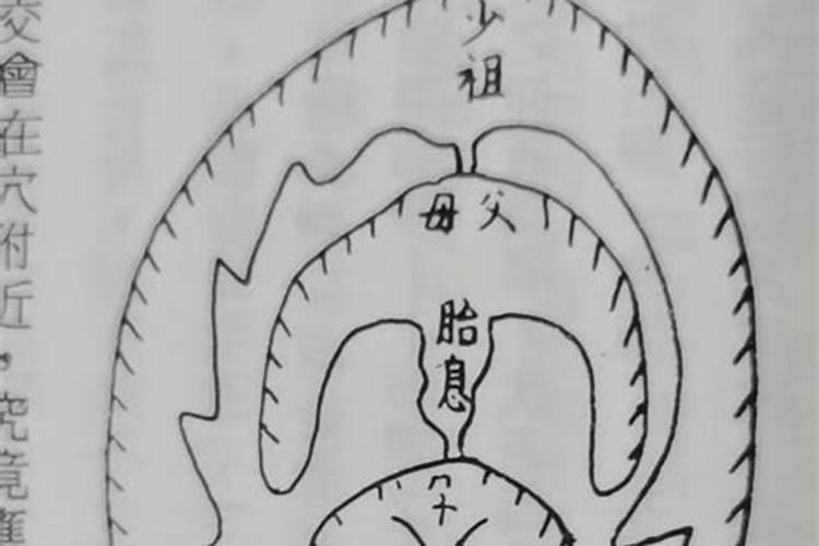 风水胎是什么意思